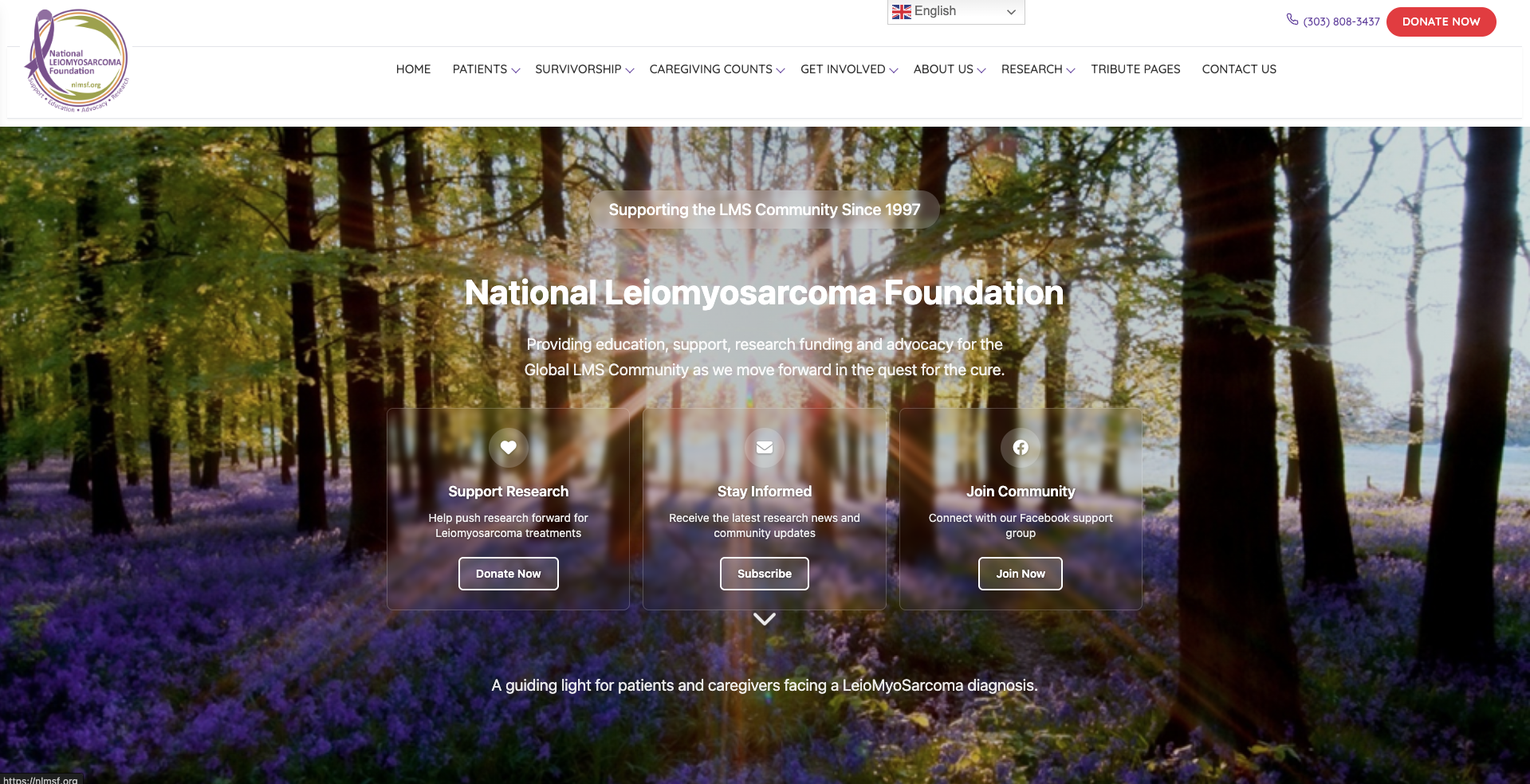Screenshot of The National Leiomyosarcoma Foundation